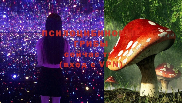 прущие крисы Магас