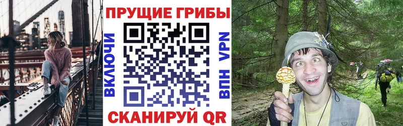 где продают наркотики  Магас  Галлюциногенные грибы прущие грибы 